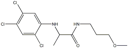 N-(3-methoxypropyl)-2-[(2,4,5-trichlorophenyl)amino]propanamide Structure