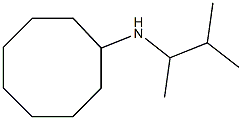 N-(3-methylbutan-2-yl)cyclooctanamine Structure