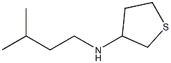 N-(3-methylbutyl)thiolan-3-amine Structure