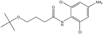 N-(4-amino-2,6-dichlorophenyl)-4-(tert-butoxy)butanamide 구조식 이미지