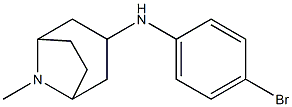 N-(4-bromophenyl)-8-methyl-8-azabicyclo[3.2.1]octan-3-amine 구조식 이미지