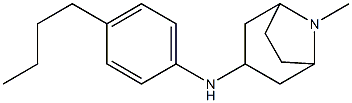 N-(4-butylphenyl)-8-methyl-8-azabicyclo[3.2.1]octan-3-amine 구조식 이미지