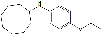 N-(4-ethoxyphenyl)cyclooctanamine 구조식 이미지