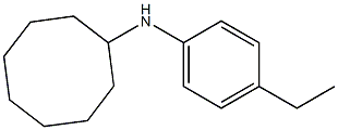 N-(4-ethylphenyl)cyclooctanamine 구조식 이미지