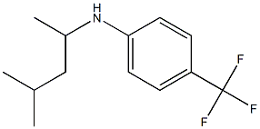 N-(4-methylpentan-2-yl)-4-(trifluoromethyl)aniline 구조식 이미지