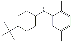 N-(4-tert-butylcyclohexyl)-2,5-dimethylaniline Structure