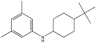 N-(4-tert-butylcyclohexyl)-3,5-dimethylaniline 구조식 이미지