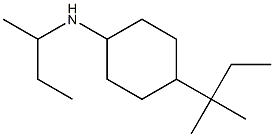 N-(butan-2-yl)-4-(2-methylbutan-2-yl)cyclohexan-1-amine Structure