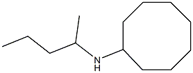 N-(pentan-2-yl)cyclooctanamine 구조식 이미지