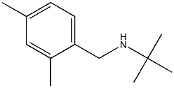 N-(tert-butyl)-N-(2,4-dimethylbenzyl)amine Structure