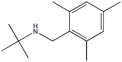 N-(tert-butyl)-N-(mesitylmethyl)amine Structure