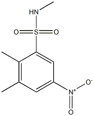 N,2,3-trimethyl-5-nitrobenzene-1-sulfonamide 구조식 이미지