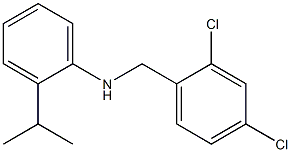 N-[(2,4-dichlorophenyl)methyl]-2-(propan-2-yl)aniline 구조식 이미지