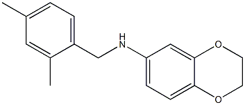 N-[(2,4-dimethylphenyl)methyl]-2,3-dihydro-1,4-benzodioxin-6-amine 구조식 이미지