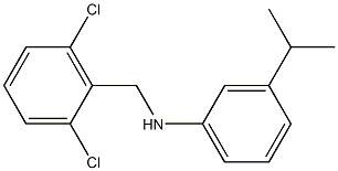 N-[(2,6-dichlorophenyl)methyl]-3-(propan-2-yl)aniline 구조식 이미지