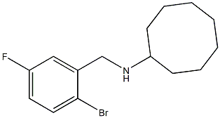 N-[(2-bromo-5-fluorophenyl)methyl]cyclooctanamine 구조식 이미지