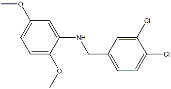 N-[(3,4-dichlorophenyl)methyl]-2,5-dimethoxyaniline Structure