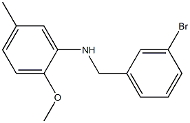 N-[(3-bromophenyl)methyl]-2-methoxy-5-methylaniline 구조식 이미지