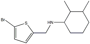 N-[(5-bromothiophen-2-yl)methyl]-2,3-dimethylcyclohexan-1-amine 구조식 이미지