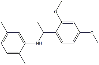 N-[1-(2,4-dimethoxyphenyl)ethyl]-2,5-dimethylaniline 구조식 이미지