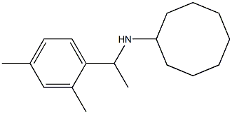 N-[1-(2,4-dimethylphenyl)ethyl]cyclooctanamine Structure