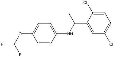 N-[1-(2,5-dichlorophenyl)ethyl]-4-(difluoromethoxy)aniline Structure