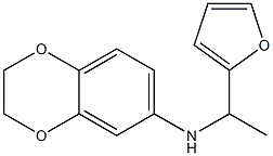 N-[1-(furan-2-yl)ethyl]-2,3-dihydro-1,4-benzodioxin-6-amine Structure