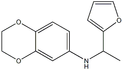 N-[1-(furan-2-yl)ethyl]-2,3-dihydro-1,4-benzodioxin-6-amine 구조식 이미지