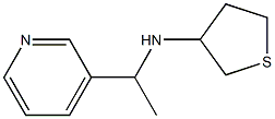 N-[1-(pyridin-3-yl)ethyl]thiolan-3-amine 구조식 이미지