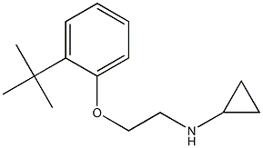 N-[2-(2-tert-butylphenoxy)ethyl]cyclopropanamine Structure