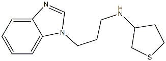 N-[3-(1H-1,3-benzodiazol-1-yl)propyl]thiolan-3-amine 구조식 이미지