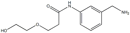 N-[3-(aminomethyl)phenyl]-3-(2-hydroxyethoxy)propanamide Structure