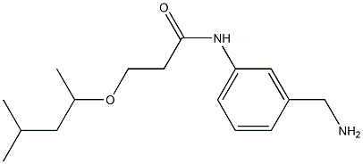 N-[3-(aminomethyl)phenyl]-3-[(4-methylpentan-2-yl)oxy]propanamide 구조식 이미지