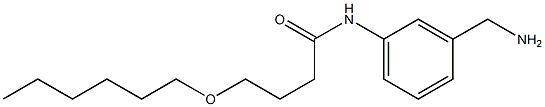 N-[3-(aminomethyl)phenyl]-4-(hexyloxy)butanamide 구조식 이미지