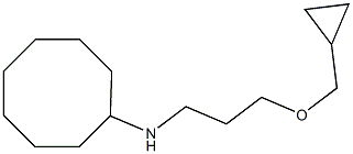 N-[3-(cyclopropylmethoxy)propyl]cyclooctanamine Structure