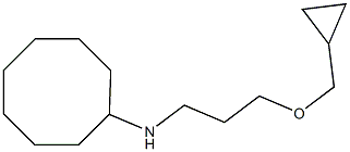 N-[3-(cyclopropylmethoxy)propyl]cyclooctanamine 구조식 이미지