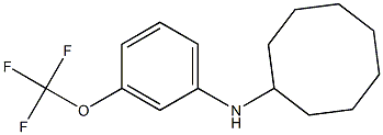 N-[3-(trifluoromethoxy)phenyl]cyclooctanamine 구조식 이미지