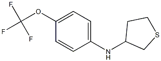 N-[4-(trifluoromethoxy)phenyl]thiolan-3-amine 구조식 이미지