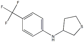 N-[4-(trifluoromethyl)phenyl]thiolan-3-amine 구조식 이미지