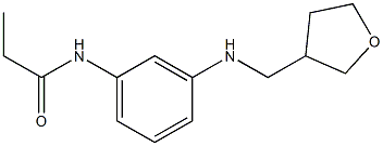 N-{3-[(oxolan-3-ylmethyl)amino]phenyl}propanamide 구조식 이미지