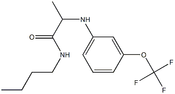 N-butyl-2-{[3-(trifluoromethoxy)phenyl]amino}propanamide 구조식 이미지