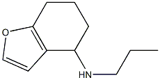 N-propyl-4,5,6,7-tetrahydro-1-benzofuran-4-amine Structure