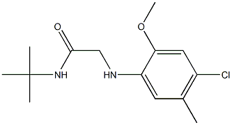 N-tert-butyl-2-[(4-chloro-2-methoxy-5-methylphenyl)amino]acetamide Structure