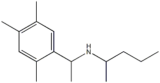 pentan-2-yl[1-(2,4,5-trimethylphenyl)ethyl]amine 구조식 이미지