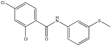 2,4-dichloro-N-[3-(methylsulfanyl)phenyl]benzamide 구조식 이미지