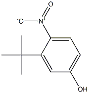 3-tert-butyl-4-nitrophenol Structure