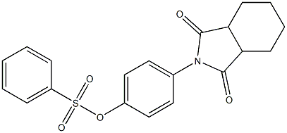 4-(1,3-dioxooctahydro-2H-isoindol-2-yl)phenyl benzenesulfonate Structure