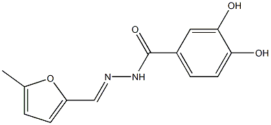 3,4-dihydroxy-N'-[(E)-(5-methyl-2-furyl)methylidene]benzohydrazide Structure