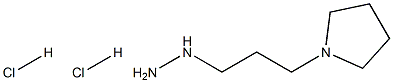 1-(3-(Pyrrolidin-1-yl)propyl)hydrazine dihydrochloride ,97% 구조식 이미지