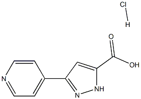 3-pyridin-4-yl-1H-pyrazole-5-carboxylic acid hydrochloride 구조식 이미지